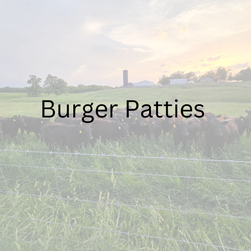 Ground Beef Patties