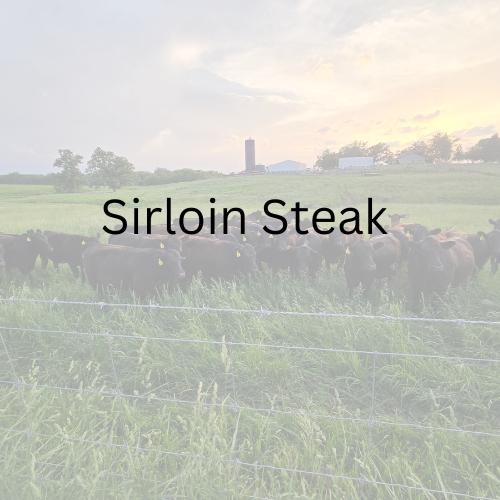 Sirloin Steak