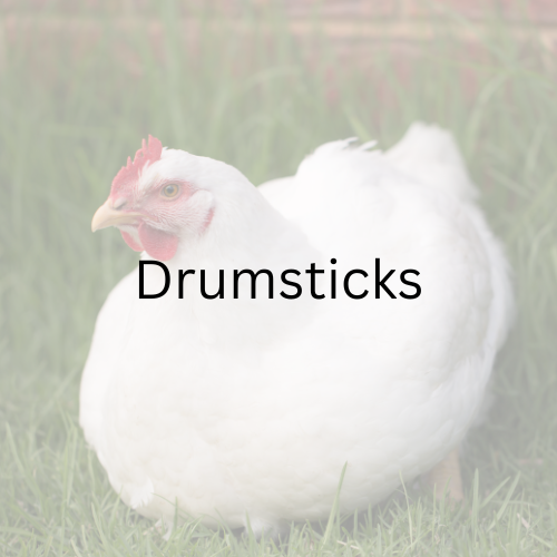 Chicken Drumsticks