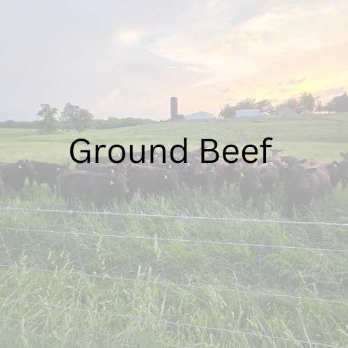 Ground Beef