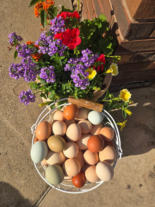 Farm Raised Eggs